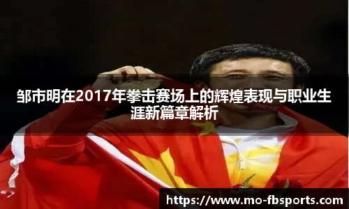 邹市明在2017年拳击赛场上的辉煌表现与职业生涯新篇章解析